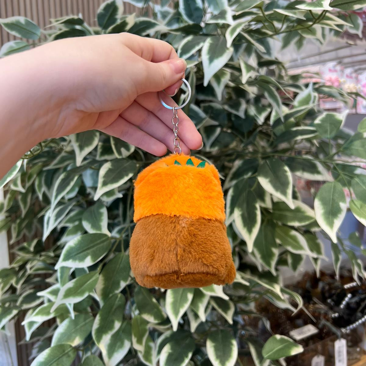 Hand holding orange and brown plush keychain in front of green and white plant.
