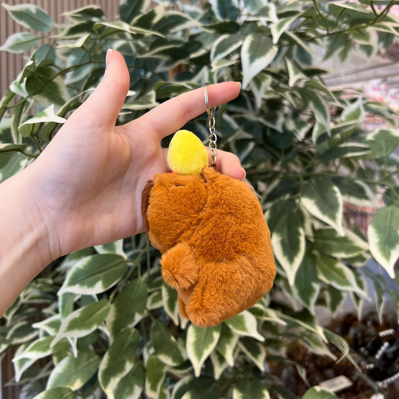A brown, fuzzy bear keychain with a yellow top held up by a pale hand in front of a green and white plant.