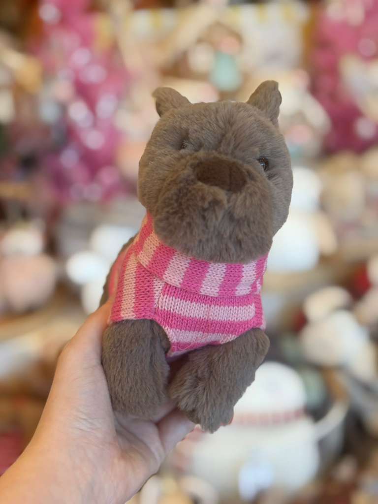 Plush toy dog wearing a pink sweater held by a hand with a blurred background