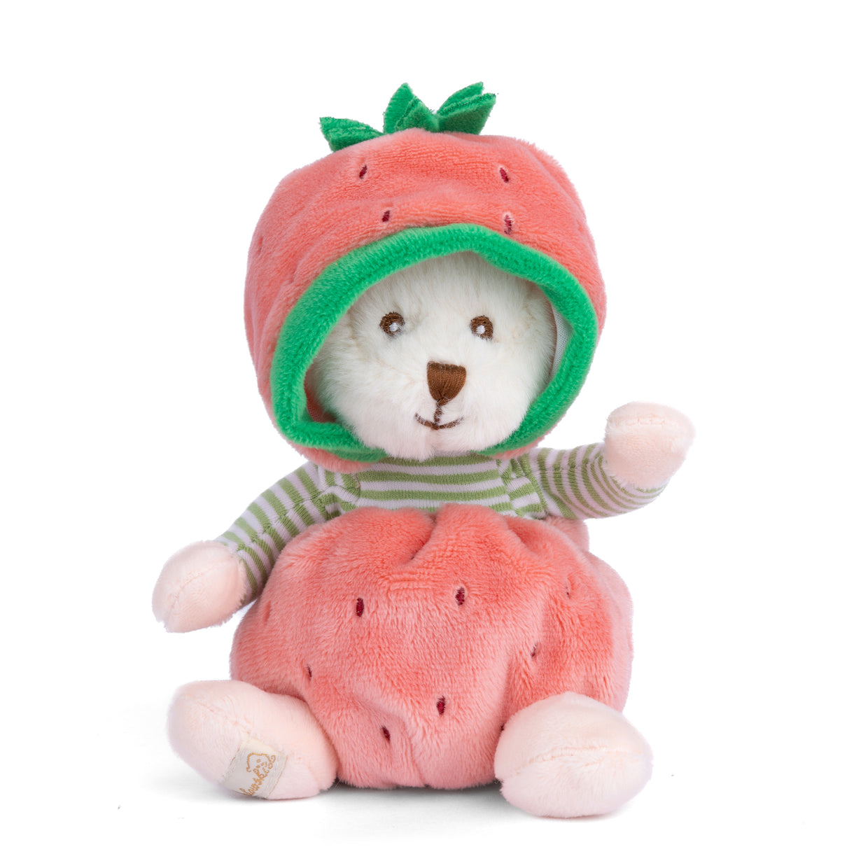 Plush toy bear wearing a watermelon costume on a white background