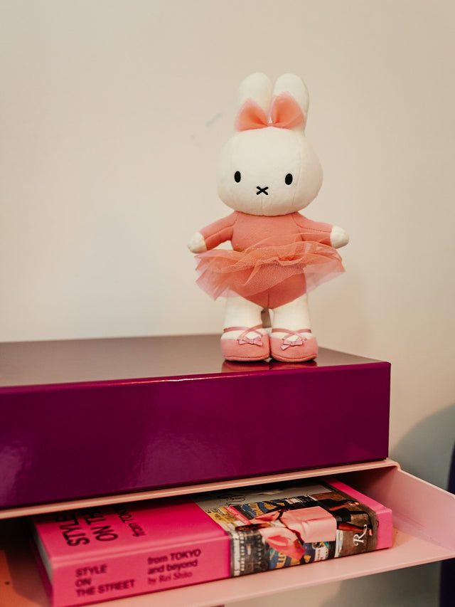 Plush toy rabbit in a pink outfit on a shelf with books below