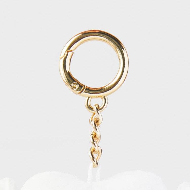 Close-up of a gold keychain with a round clasp and a short, linked chain.