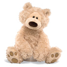 Stuffed, light-brown teddy bear sitting.