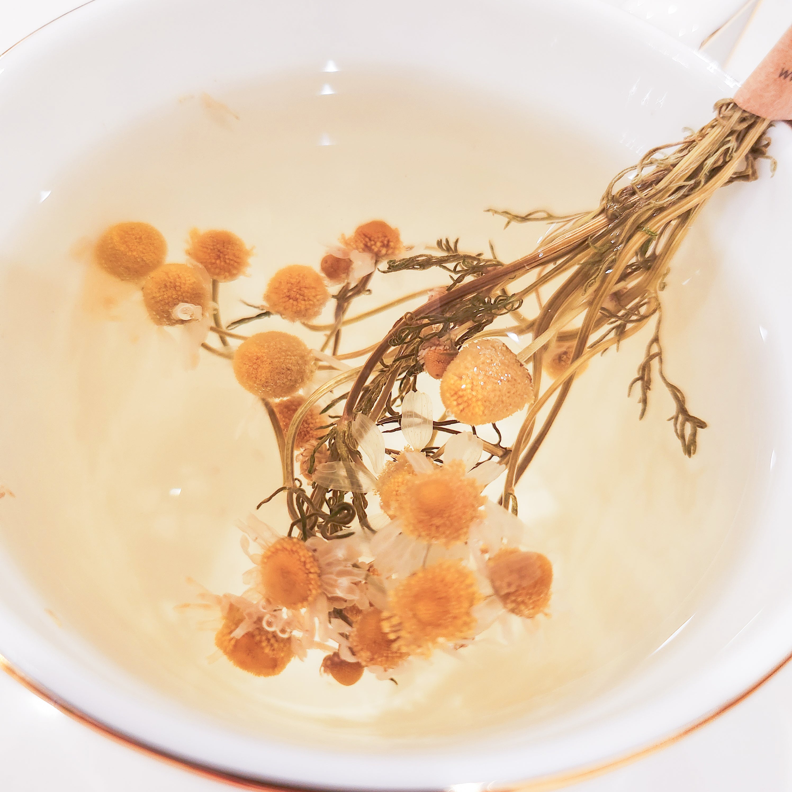 Chamomile tea steeping in a white cup.