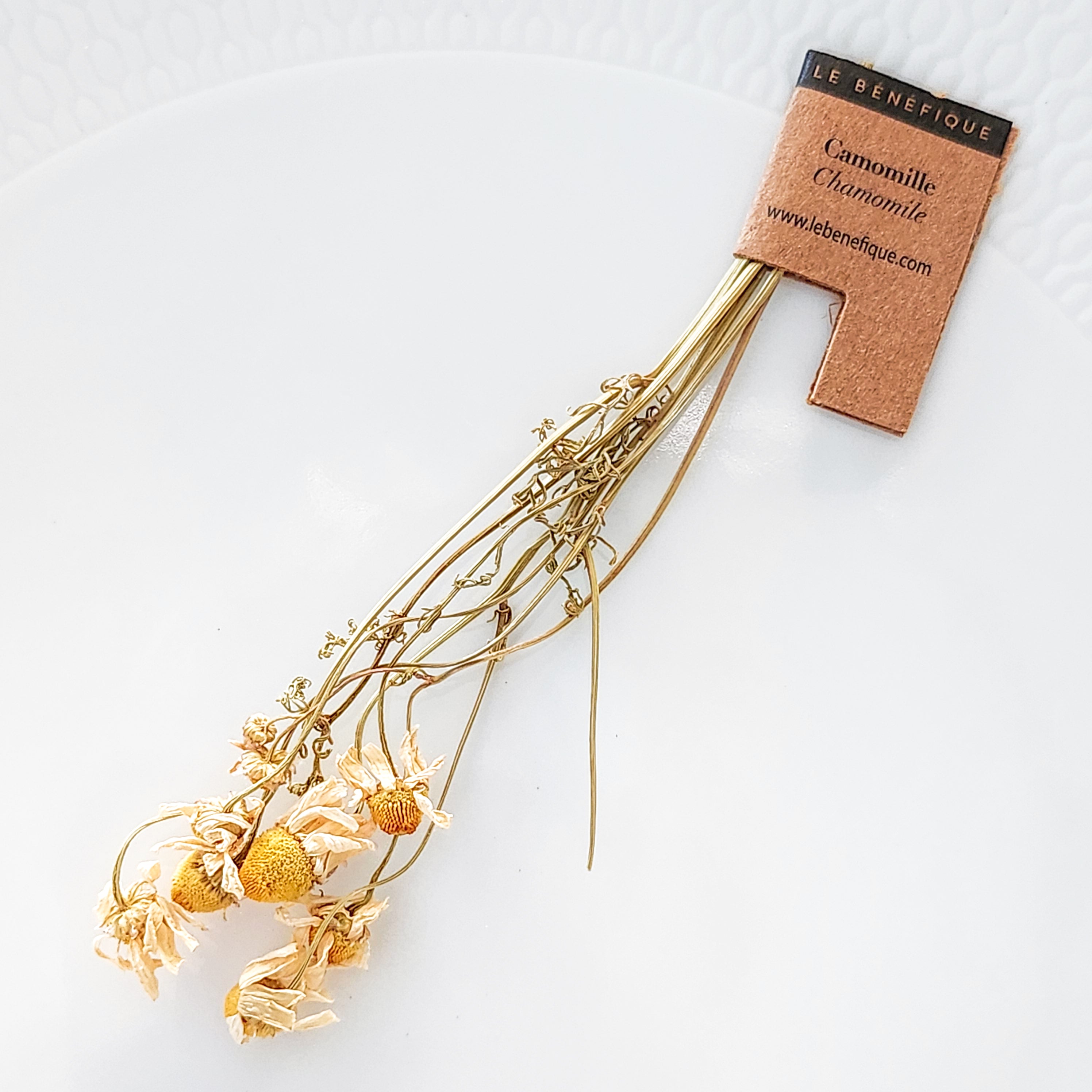 Dried chamomile flowers and stems attached to a brown tag on a white surface.