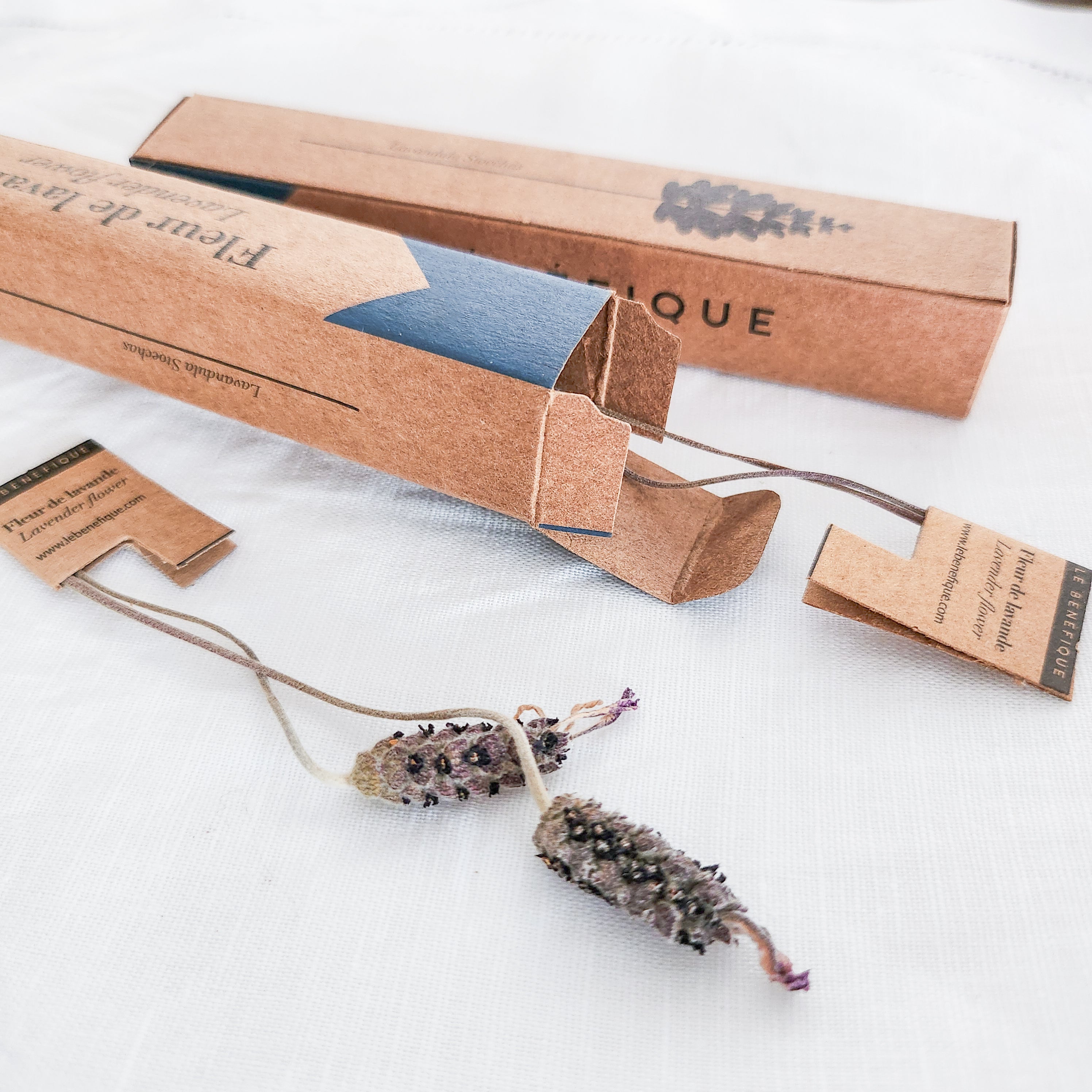 Two boxes of lavender flowers with the botanical name "Lavandula Stoechas".