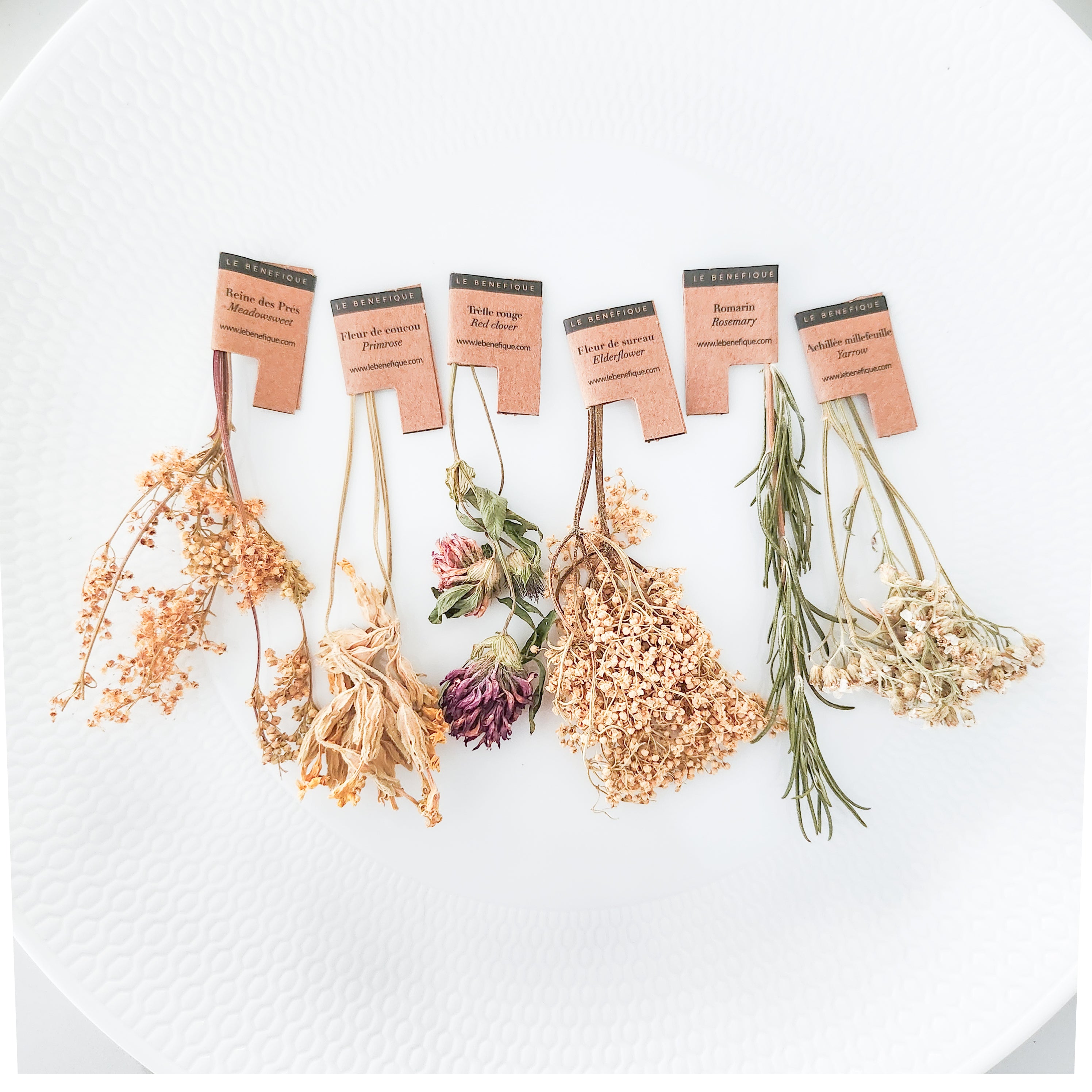 Dried herbs on a white patterned plate, each labeled with its name.