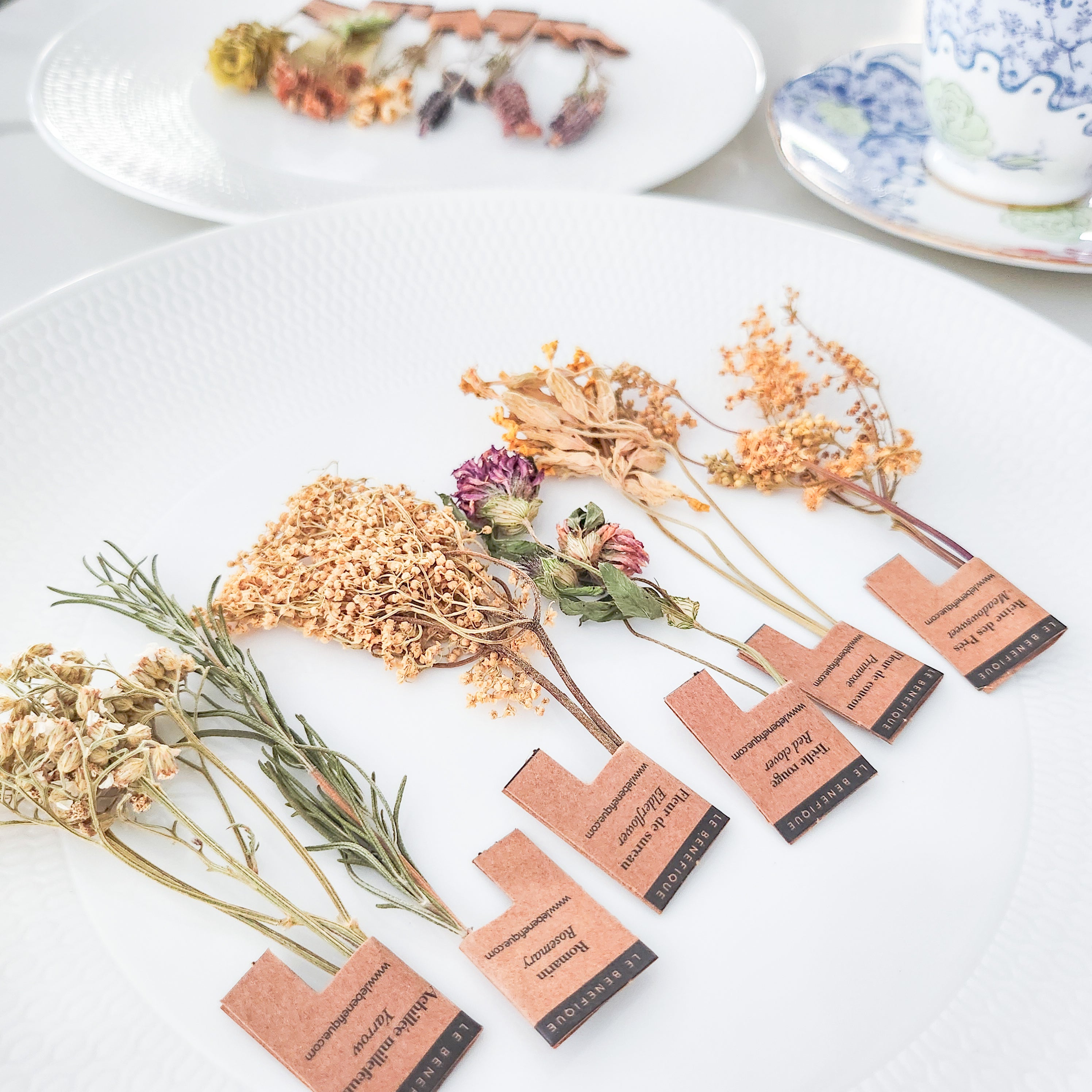 Dried herbs on a textured white plate, each labeled in French, with a teacup and saucer and another plate visible in the background.