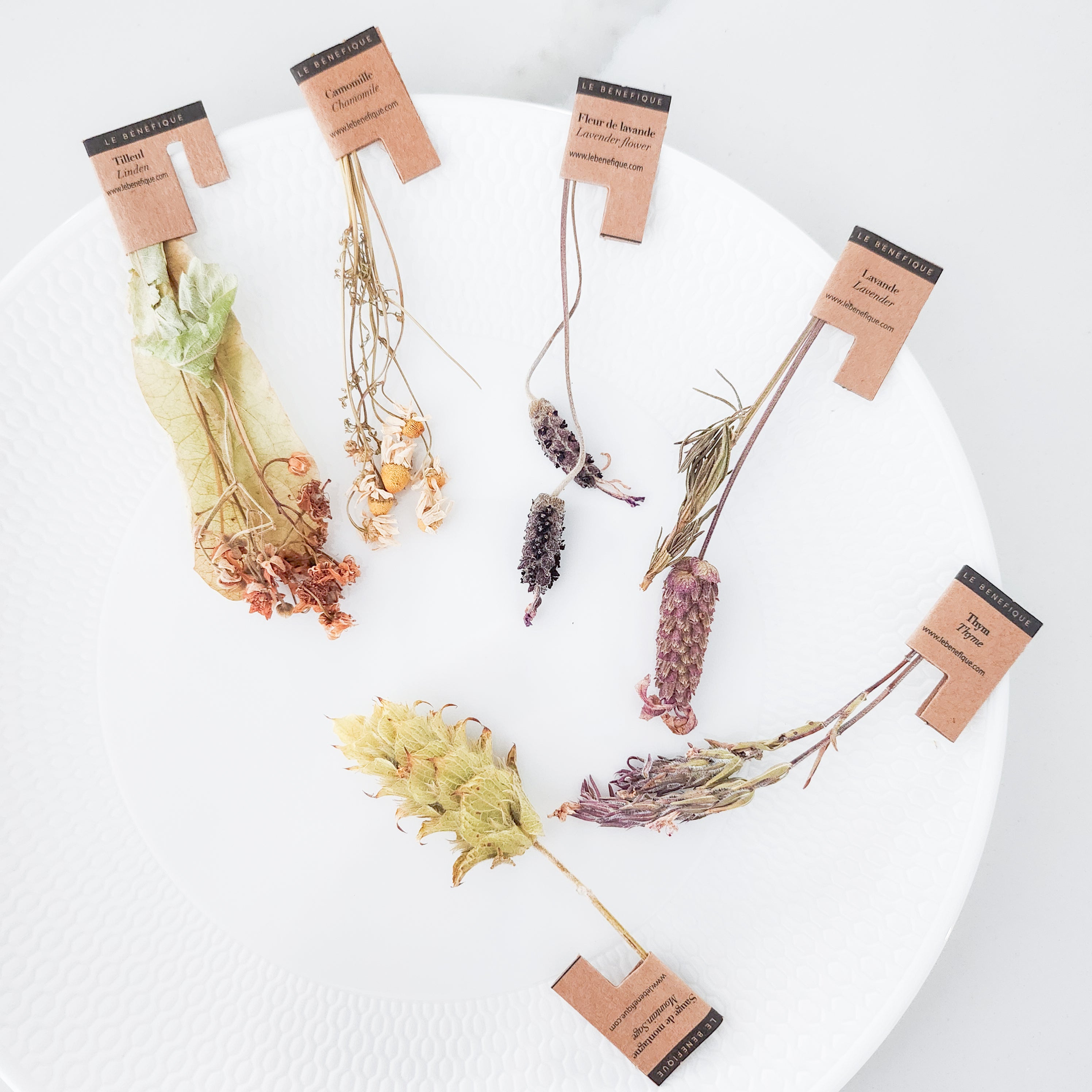 A white plate with six sprigs of dried herbs, each with a label that reads "Le Benefique" and the name of the herb.