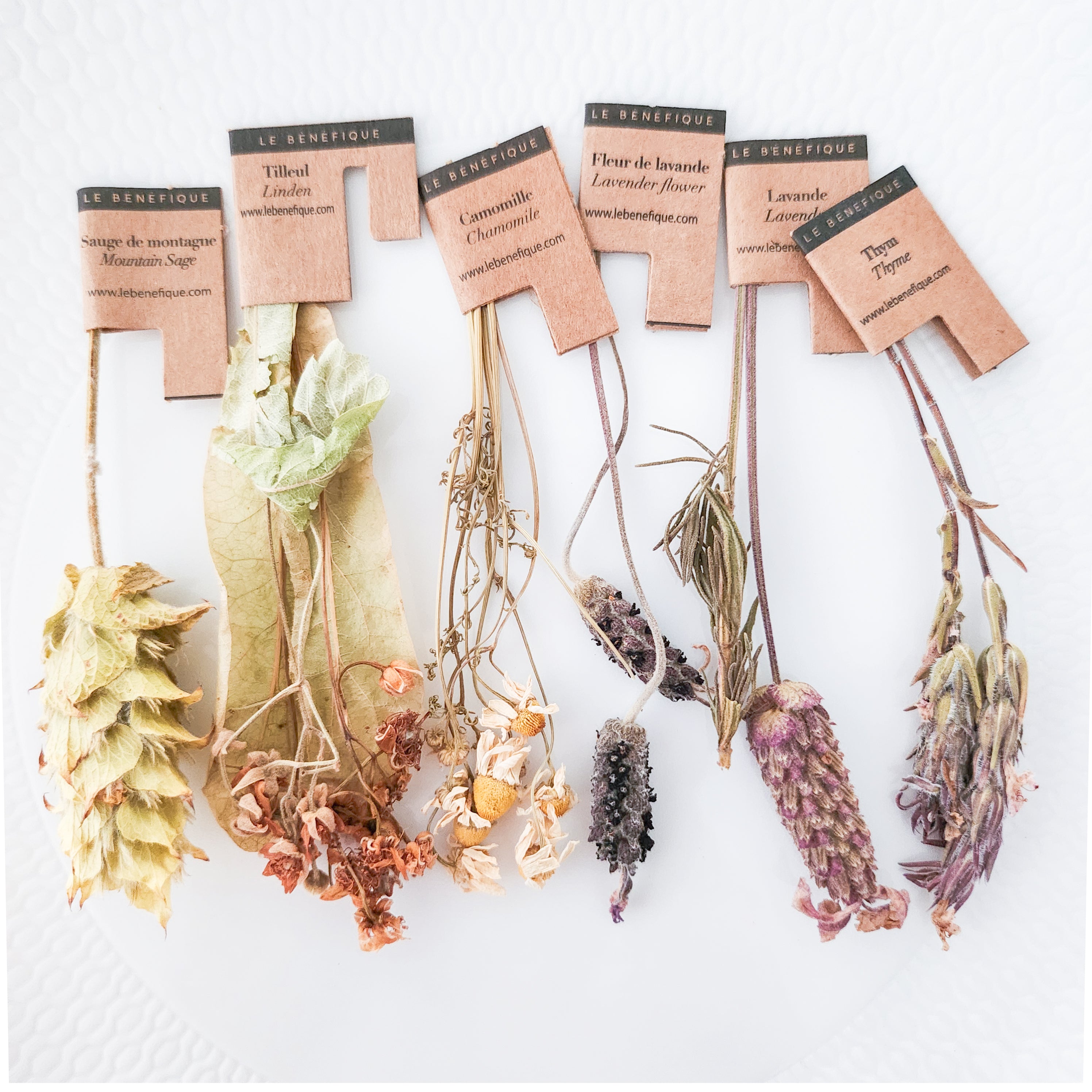 Close-up of dried herbs with labels on a white textured surface.