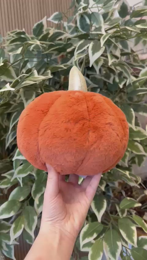 This video has no audio or on-screen text. It shows the product in a short clip demonstrating its appearance and key angles.