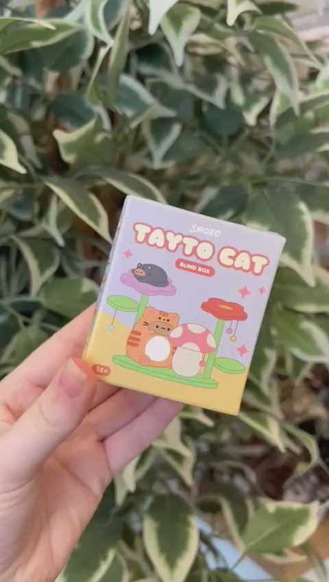 This video has no audio or on-screen text. It shows the product in a short clip demonstrating its appearance and key angles.