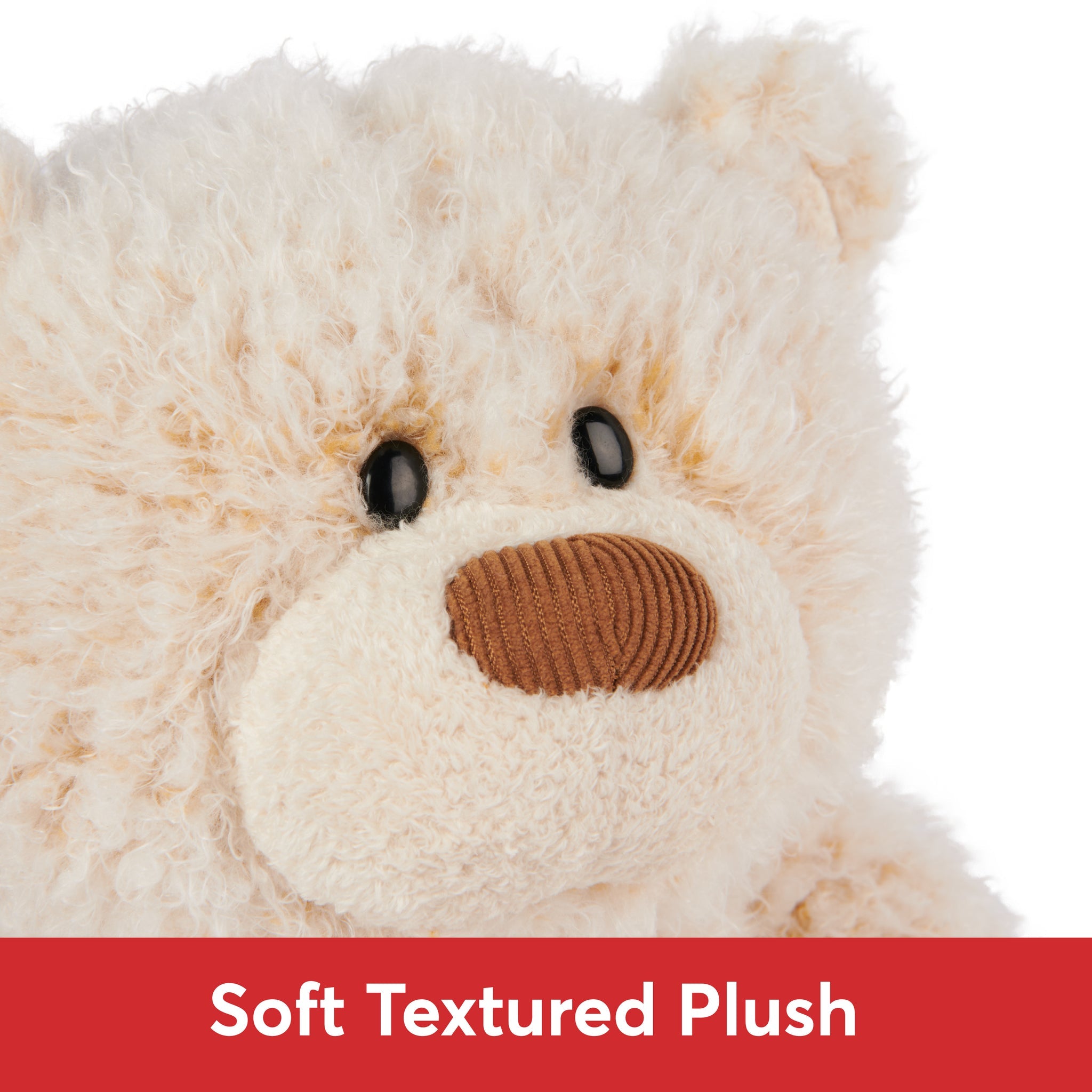Close-up of a plush teddy bear with black eyes and a brown corduroy nose.