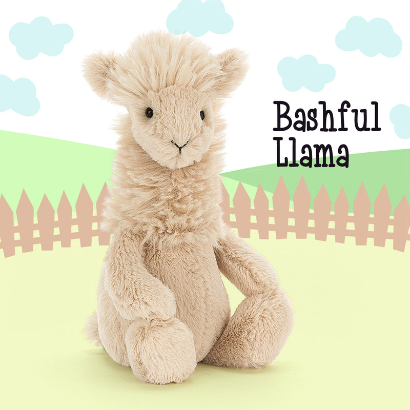 Bashful Llama