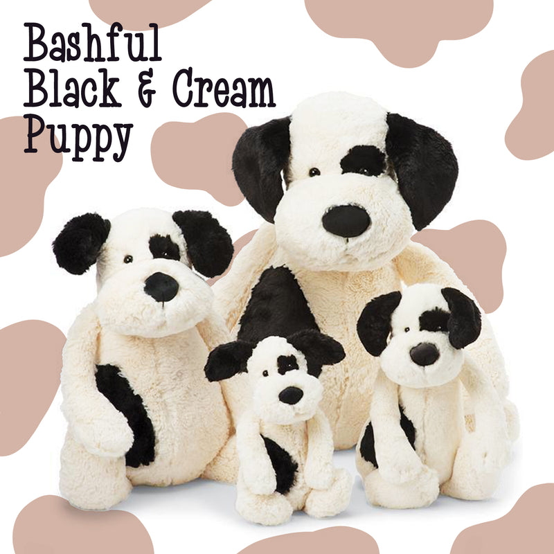 Bashful Black & Cream Puppy