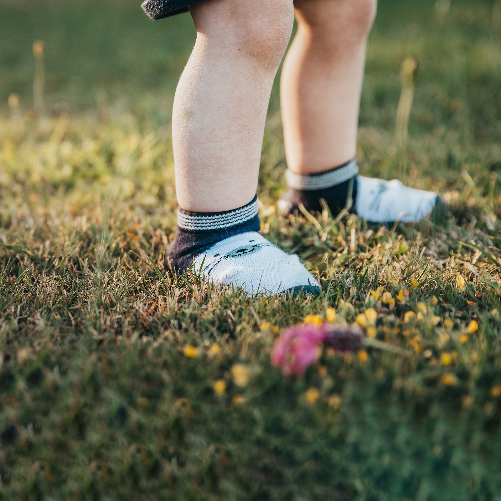 Baby's legs and feet in socks on green grass.