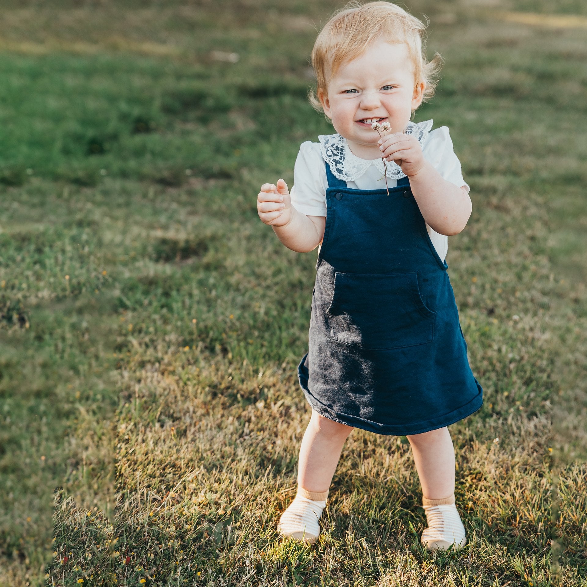 A toddler stands on a grassy lawn, wearing a navy blue overall dress over a white shirt with a lace collar, holding a small flower.