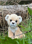Plush teddy bear in a natural setting with grass and a log.