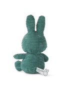 Teal plush bunny toy on a white background