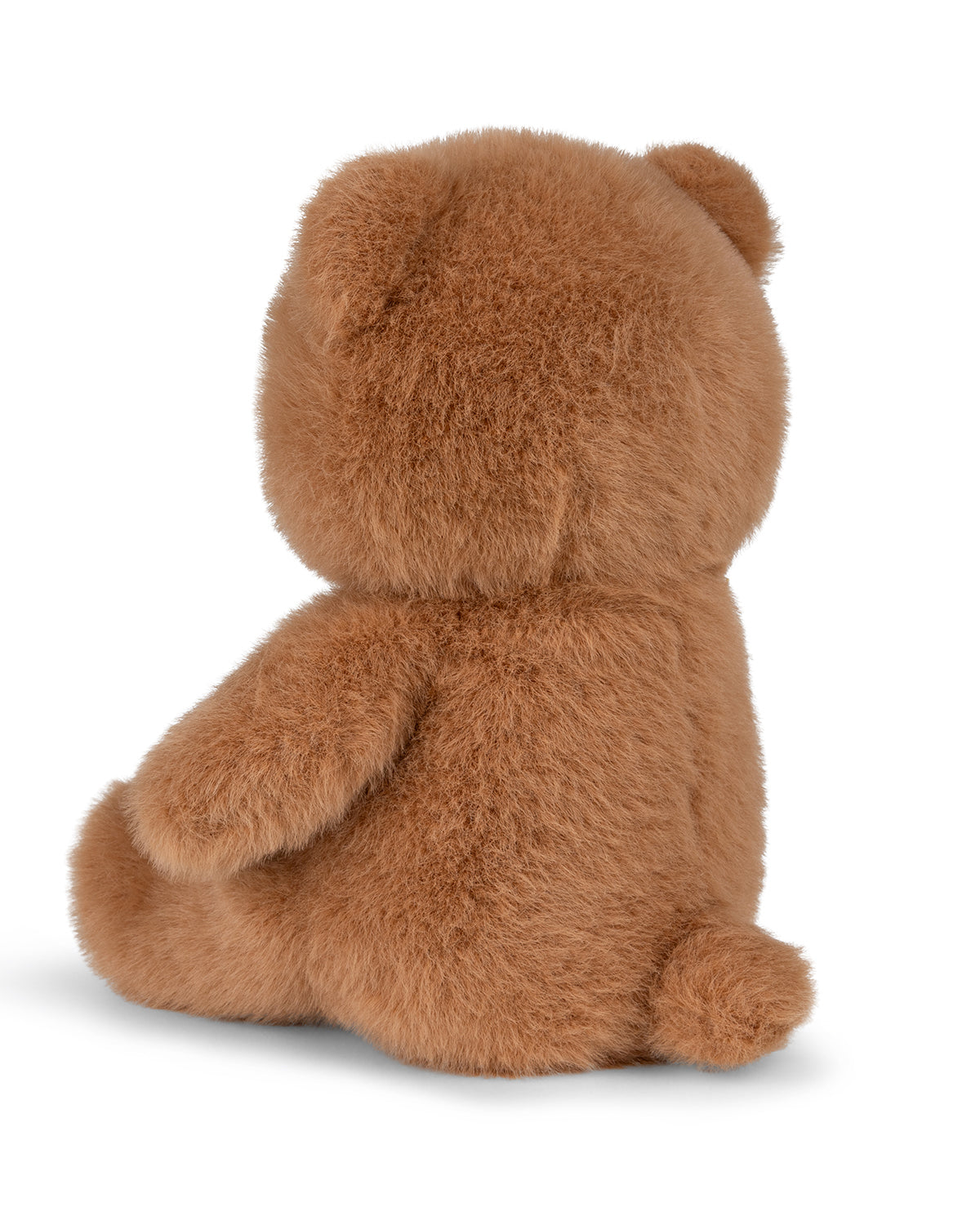 Brown teddy bear from behind on a white background
