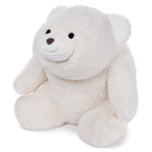 White teddy bear plush toy on a white background