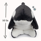 Plush toy orca whale with size measurement label on a white background
