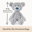 Gray plush bear toy with size indication on a white background
