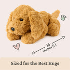 Brown plush dog toy with size indication on a light background
