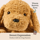Brown plush dog toy with 'Warm Brown Eyes' text on a beige background