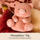 A pink plush stuffed pig toy with small black eyes and a pale pink snout, posed on red and cream textured cushions with a printed fabric background. Text at the bottom reads 'Plumpkins™ Pig' and 'Cute Modern Stuffed Animal'.
