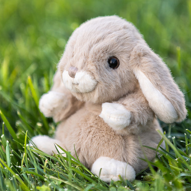 Plush rabbit toy on grass
