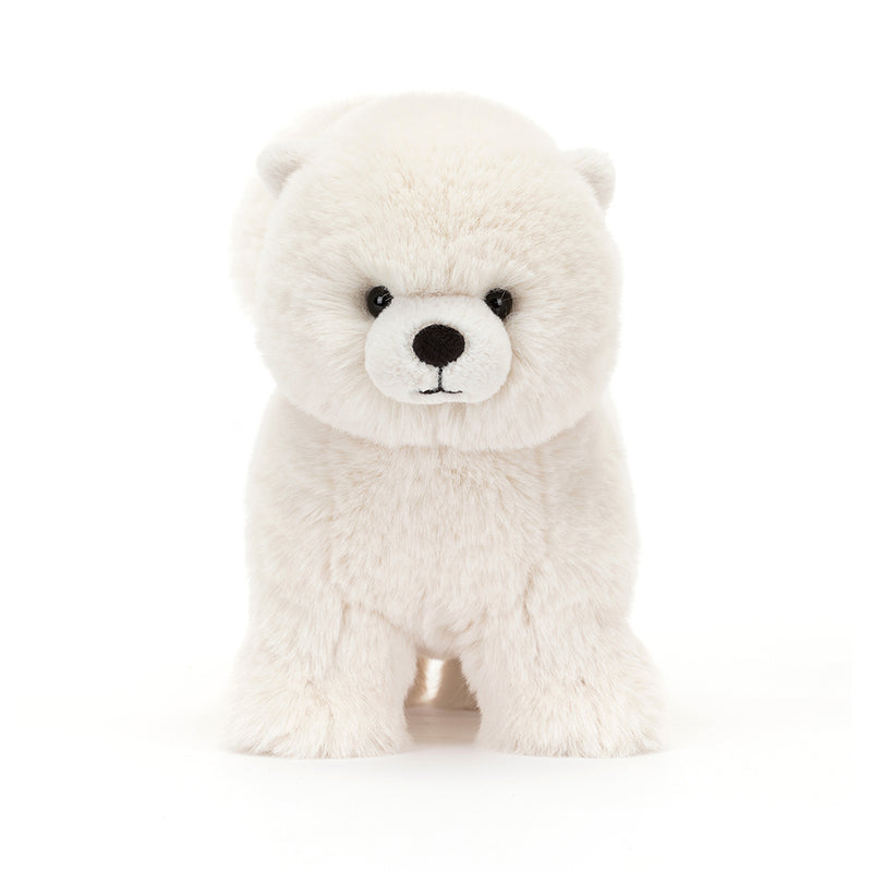 pomeranian white teddy bear