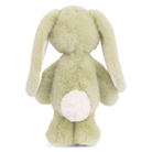 Green plush bunny toy on a white background