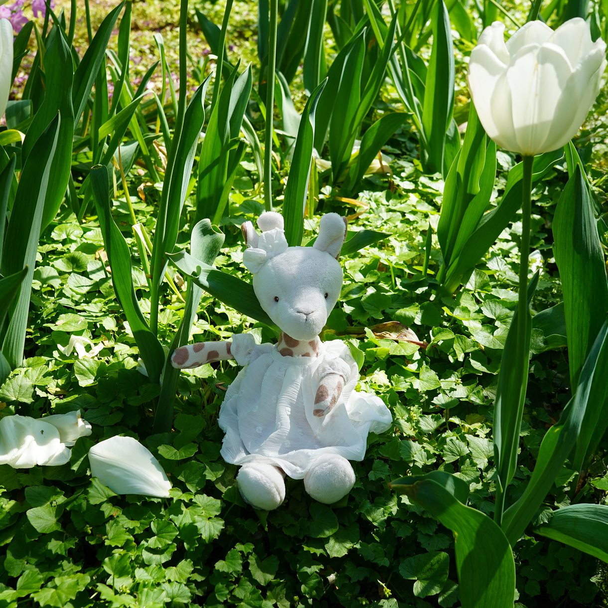 White plush rabbit toy in a garden with white tulips