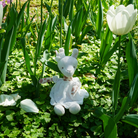 White plush rabbit toy in a garden with white tulips