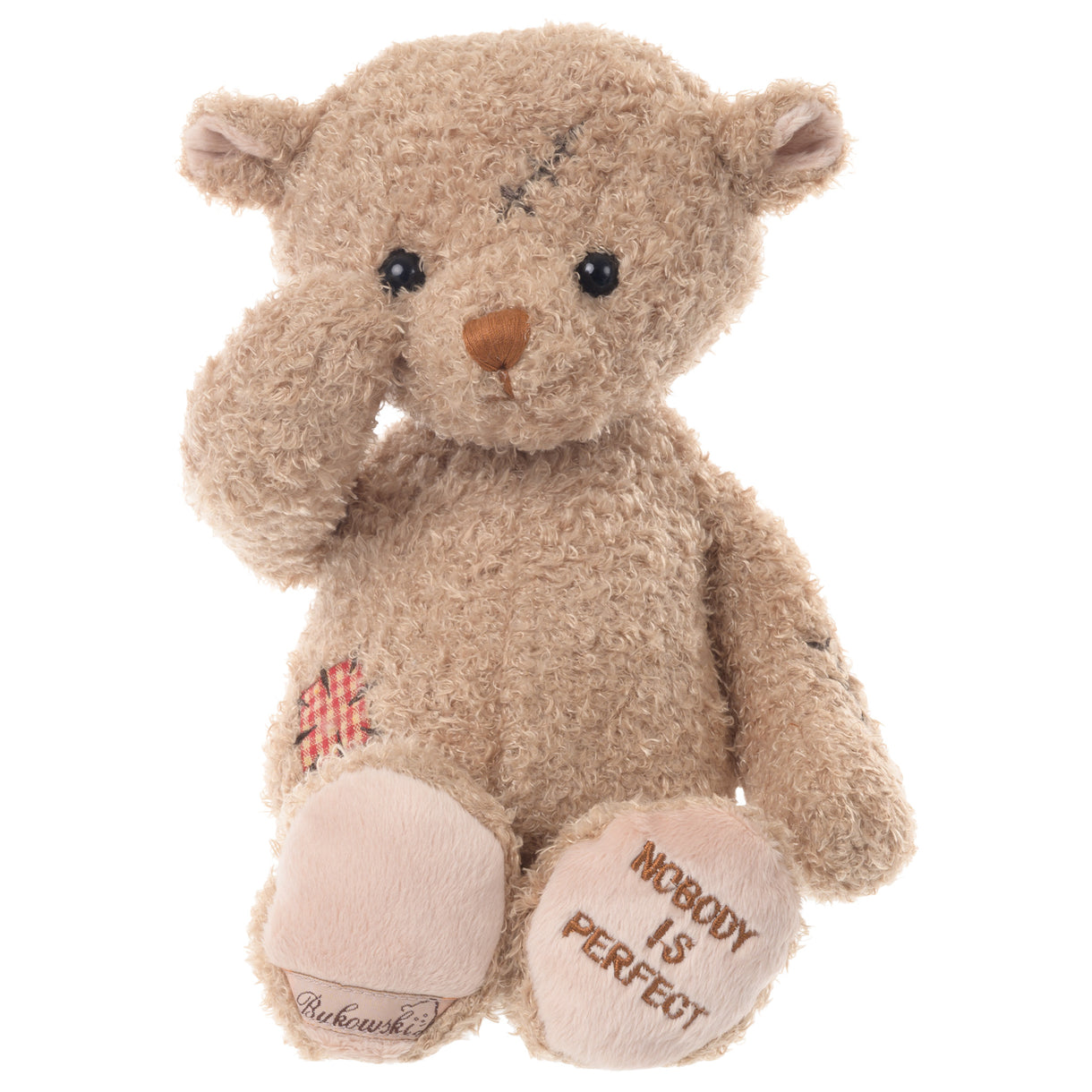 Plush teddy bear with embroidered message on a white background