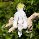 White cockatoo with a yellow crest perched on a branch against a blurred green background