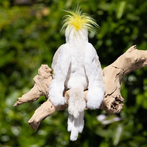 White cockatoo with a yellow crest perched on a branch against a blurred green background
