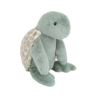 Stuffed turtle with a light green plush body and a patterned beige shell, sitting.
