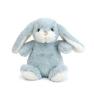 Plush toy rabbit with blue fur and white accents on a white background