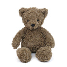 Brown, plush teddy bear sitting on a white background.

