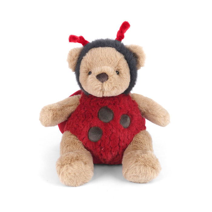 Stuffed teddy bear wearing a ladybug costume on a white background