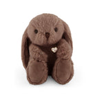 Brown plush bunny with a heart tag on a white background