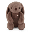 Brown plush bunny toy on a white background