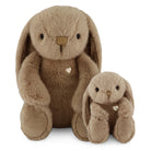 Two brown plush bunnies of different sizes on a white background