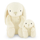 Two plush bunny toys sitting side by side.