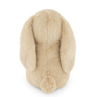 Beige plush bunny head on a white background