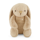 Plush toy rabbit with a heart on a white background