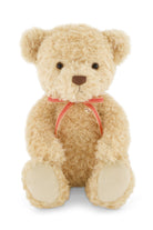 Beige teddy bear with a red ribbon on a white background