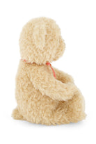 Beige teddy bear with a red bow on a white background